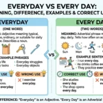 Everyday vs Every Day