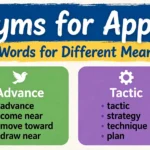 Synonyms for Approach