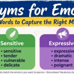Synonyms for Emotional