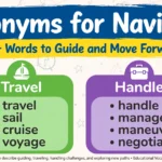 Synonyms for Navigate